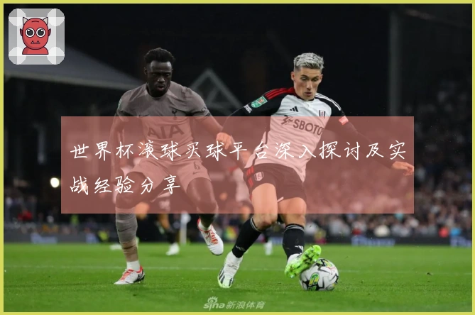 世界杯滚球买球平台深入探讨及实战经验分享