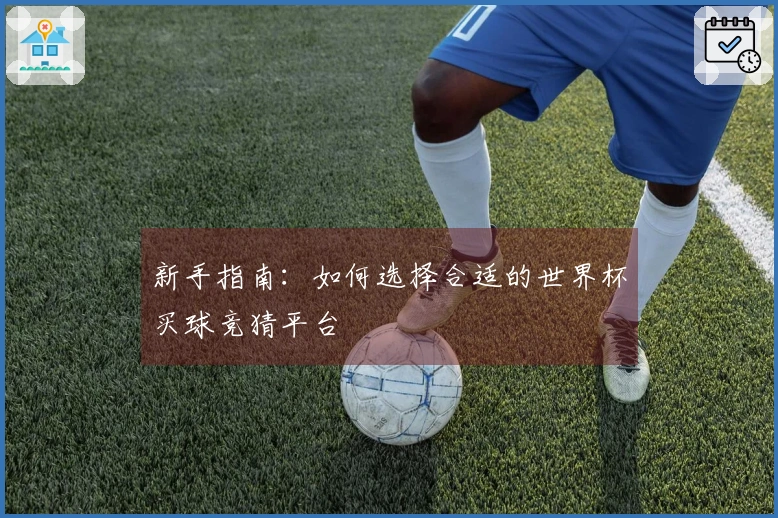 新手指南：如何选择合适的世界杯买球竞猜平台