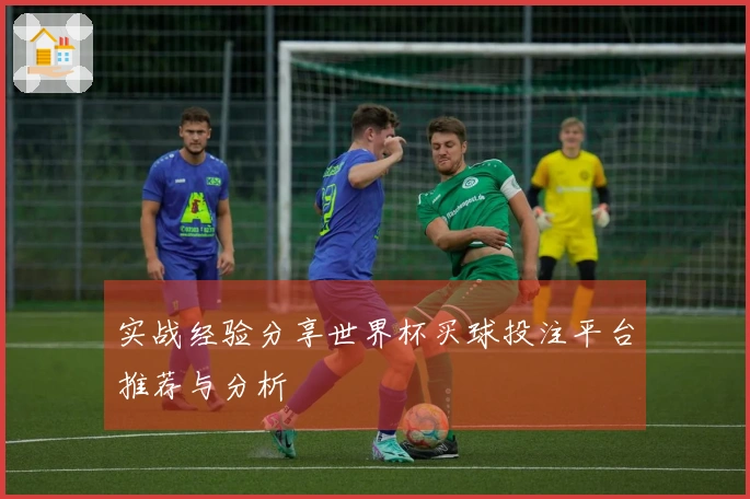 实战经验分享世界杯买球投注平台推荐与分析
