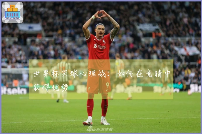 世界杯买球心理战：如何在竞猜中获得优势