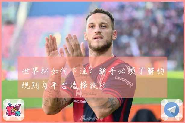 世界杯如何下注？新手必须了解的规则与平台选择技巧