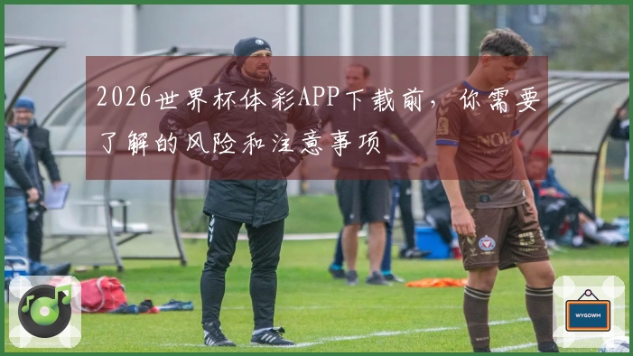2026世界杯体彩APP下载前，你需要了解的风险和注意事项