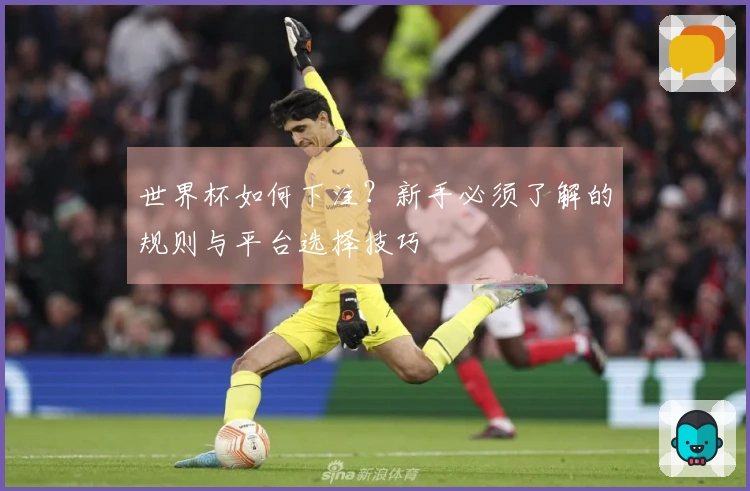 世界杯如何下注？新手必须了解的规则与平台选择技巧