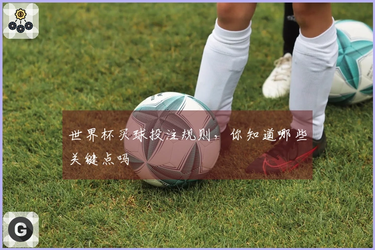 世界杯买球投注规则，你知道哪些关键点吗