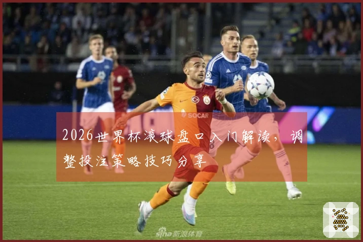 2026世界杯滚球盘口入门解读,调整投注策略技巧分享