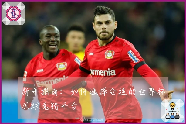 新手指南:如何选择合适的世界杯买球竞猜平台