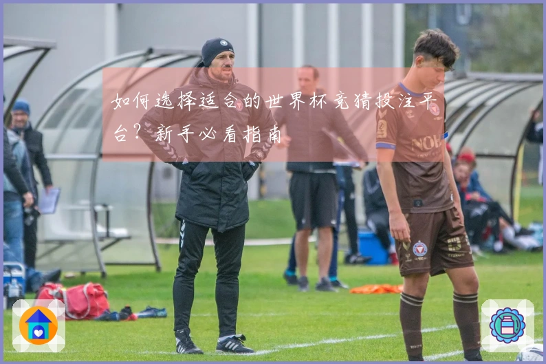 如何选择适合的世界杯竞猜投注平台?新手必看指南