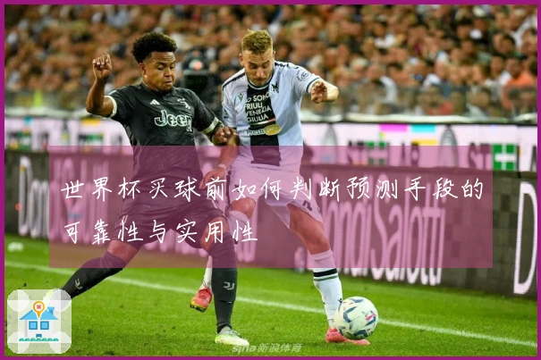 世界杯买球前如何判断预测手段的可靠性与实用性