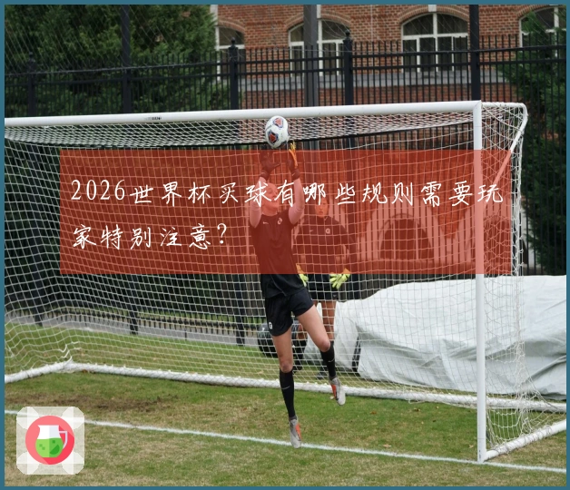 2026世界杯买球有哪些规则需要玩家特别注意？
