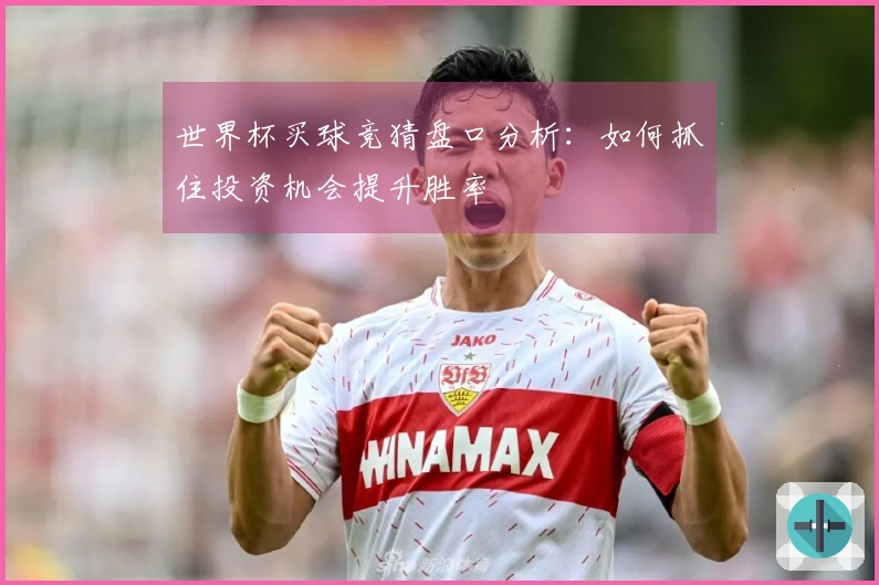 世界杯买球竞猜盘口分析：如何抓住投资机会提升胜率