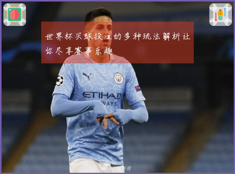 世界杯买球投注的多种玩法解析让你尽享赛事乐趣