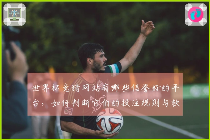 世界杯竞猜网站有哪些信誉好的平台,如何判断它们的投注规则与软件体验差异?
