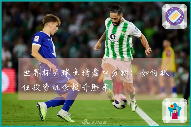 世界杯买球竞猜盘口分析：如何抓住投资机会提升胜率