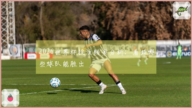 2026世界杯投注赔率分析：看好哪些球队能胜出